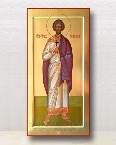 Икона «Емилиан мученик» Калининец